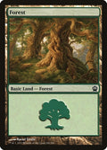 Image for Forest (249) (249) (Theros) - Magic: The Gathering