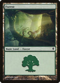Image for Forest (246a) (246a) (Zendikar) - Magic: The Gathering