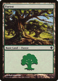 Image for Forest (353) (353) (Commander 2013) - Magic: The Gathering