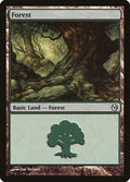 Image for Forest (113) (113) (Duels of the Planeswalkers) - Magic: The Gathering