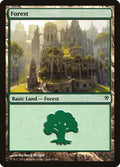 Image for Forest (87) (87) (Jace vs. Vraska) - Magic: The Gathering