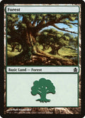 Image for Forest (315) (315) (Commander) - Magic: The Gathering