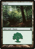 Image for Forest (316) (316) (Commander) - Magic: The Gathering
