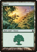 Image for Forest (317) (317) (Commander) - Magic: The Gathering
