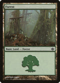 Image for Forest (29) (29) (Garruk vs. Liliana) - Magic: The Gathering