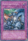 Reinforcements (DT01-EN049) (DT01)