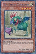 The Fabled Kokkator (DT04-EN072) (DT04)