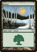 Image for Forest (382) (382) (Coldsnap Theme Deck Reprints) - Magic: The Gathering