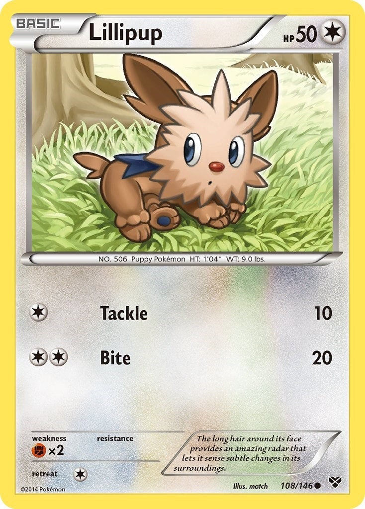 Image for Lillipup (108/146) (XY) - Pokemon