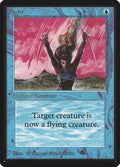 Image for Flight (Beta Edition) - Magic: The Gathering