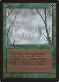 Image for Fog (Beta Edition) - Magic: The Gathering
