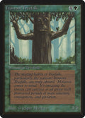 Image for Ironroot Treefolk (Beta Edition) - Magic: The Gathering