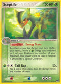 Image for Sceptile (005/017) (POP) - Pokemon