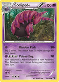 Image for Scolipede (53/146) (XY) - Pokemon