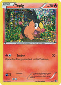 Image for Tepig (003/012) - Pokemon