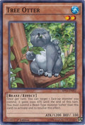 Image for Tree Otter (BP03-EN062) (BP03) - YuGiOh