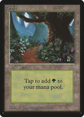 Image for Forest (B) (Beta Edition) - Magic: The Gathering