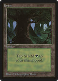 Image for Forest (C) (Beta Edition) - Magic: The Gathering