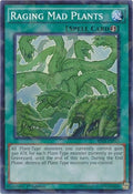 Image for Raging Mad Plants (Shatterfoil) (BP03-EN165) (BP03) - YuGiOh