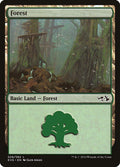 Image for Forest (028) (EVG) (28) (Anthology) - Magic: The Gathering