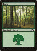 Image for Forest (029) (EVG) (29) (Anthology) - Magic: The Gathering