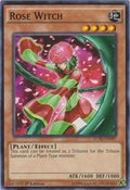 Image for Rose Witch (LC5D-EN097) (LC05) - YuGiOh