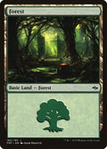 Image for Forest (185) (185) (Fate Reforged) - Magic: The Gathering