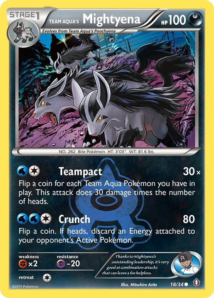 Image for Team Aqua's Mightyena (18/34) (DCR) - Pokemon