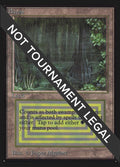 Image for Bayou (IE) (International Edition) - Magic: The Gathering