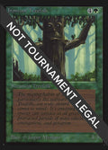 Image for Ironroot Treefolk (IE) (International Edition) - Magic: The Gathering