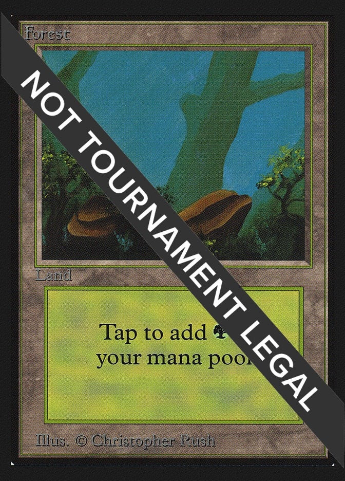 Image for Forest (A) (IE) (280) (International Edition) - Magic: The Gathering