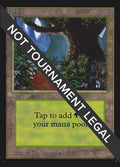 Image for Forest (B) (IE) (281) (International Edition) - Magic: The Gathering