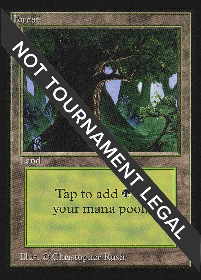 Image for Forest (C) (IE) (282) (International Edition) - Magic: The Gathering