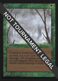 Image for Fog (CE) (Collector's Edition) - Magic: The Gathering