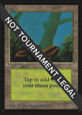 Image for Forest (A) (CE) (280) (Collector's Edition) - Magic: The Gathering